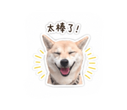 838215120