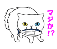 838215620