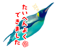838216063