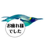 838216080
