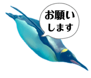 838216090