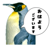 838216099