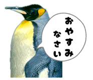 838216107