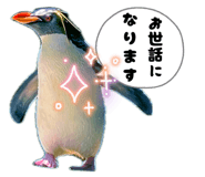 838216114