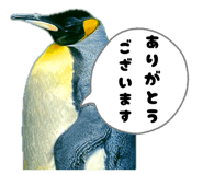 838216119