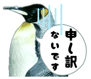 838216122