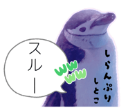 838216544