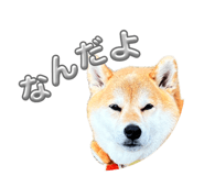 838219771