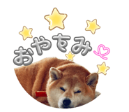 838219772