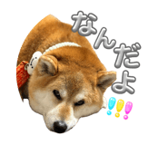 838219775