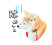 838219777