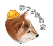 838219781
