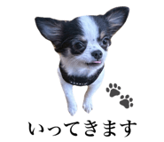 838220209