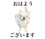 838220213