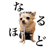 838220218