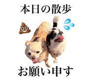 838220225