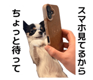 838220226