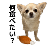 838220228