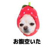 838220230