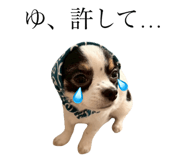 838220235