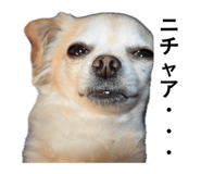 838220236