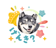 838220693