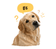 838220930
