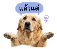 838220934