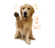 838220941