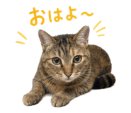 838220977