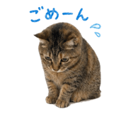 838220981