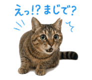 838220986