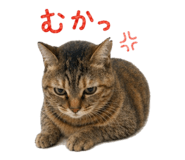 838220988
