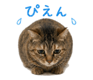 838220989