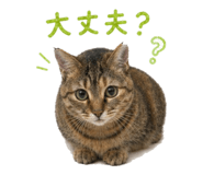 838220998