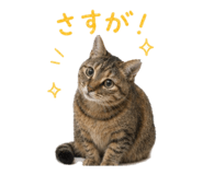 838221002