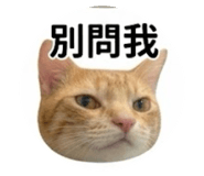 838225393
