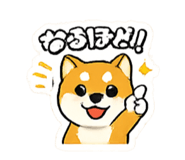 838227404