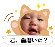 838227590