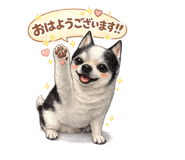 838227634