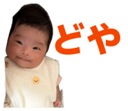 838228293