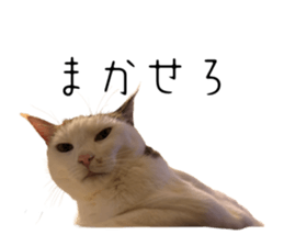 838228554