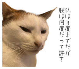 838228559