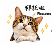 838228603