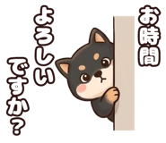 838228781