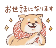 838229457