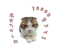 838231755