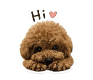 838236153