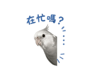 838238212