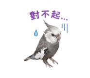 838238213